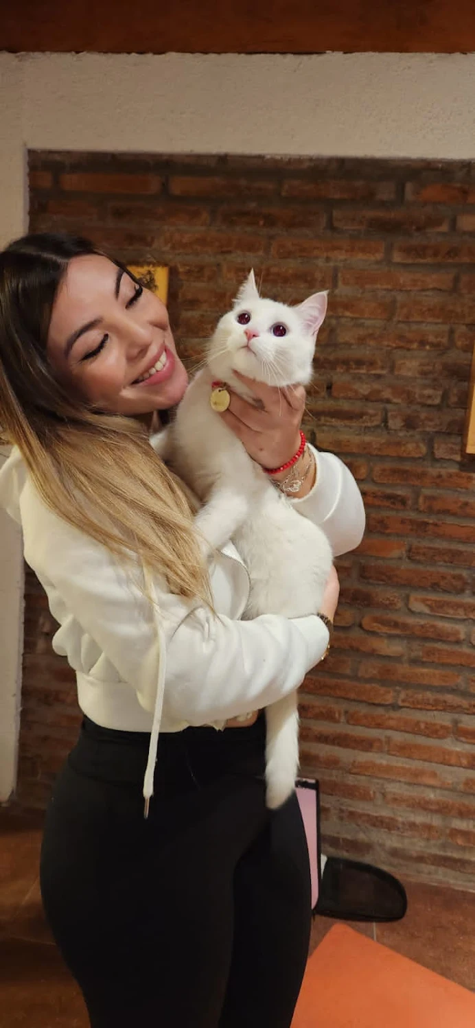 Gatos felices en Michimperio San Fernando